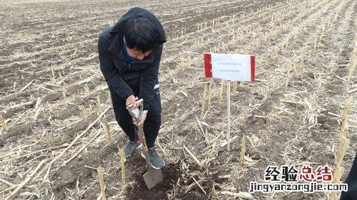 什么是土壤容重容重有什么重要性