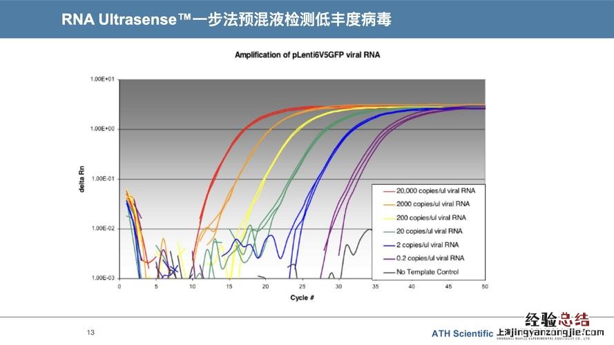 rna聚合酶在哪里合成