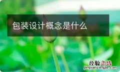 包装设计概念是什么