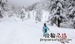 描写看雪景的句子 形容看雪景的句子