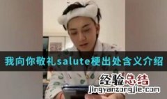 我向你敬礼salute是什么梗 我向你敬礼salute含义