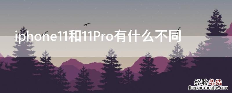 iphone11和11pro的区别 iPhone11和11Pro有什么不同