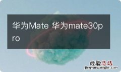 华为Mate 华为mate30pro