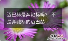 迈巴赫是奔驰标吗？ 不是奔驰标的迈巴赫