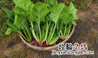 孕期不能吃什么 孕期不能吃什么食物和水果