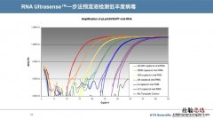 dna聚合酶在哪里合成