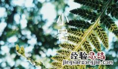 小暑种什么花 二十四节气小暑种什么花好