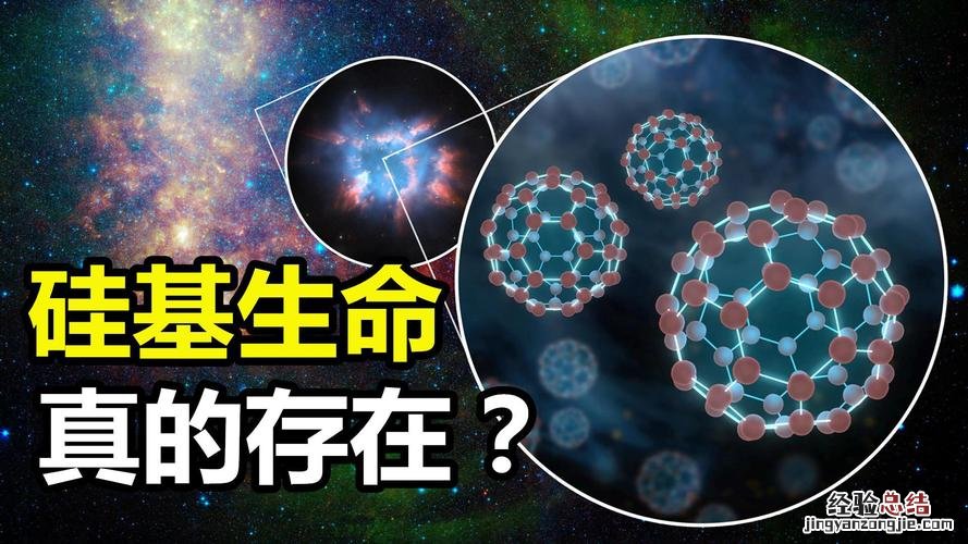 生命的特征包括什么