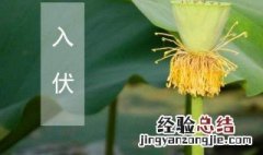 初伏中伏末伏是什么意思 初伏中伏末伏的意思介绍