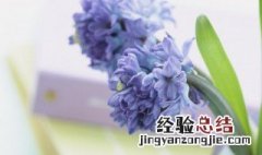 形容家乡美景的句子朋友圈 形容家乡美景的句子朋友圈文案