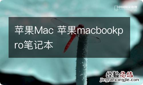 苹果Mac 苹果macbookpro笔记本