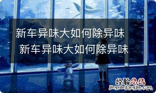 新车异味大如何除异味 新车异味大如何除异味柚子有用吗