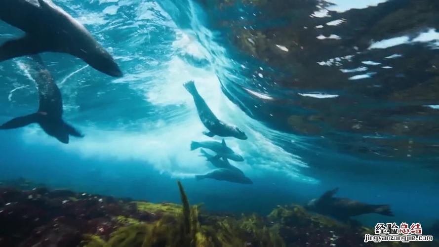 宁波海洋世界水族馆门票多少