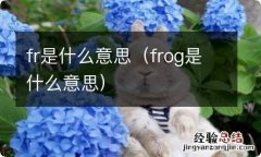 frog是什么意思 fr是什么意思