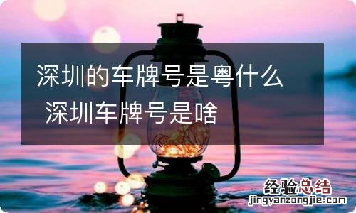 深圳的车牌号是粤什么 深圳车牌号是啥