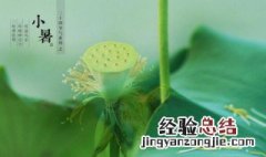 小暑是伏天吗 小暑简单介绍