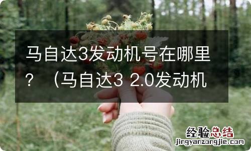 马自达3 2.0发动机号在哪儿 马自达3发动机号在哪里？