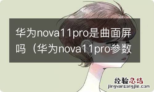 华为nova11pro参数 华为nova11pro是曲面屏吗