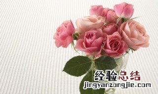 情人节送女朋友什么花 情人节送女朋友什么花最好