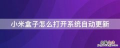 小米盒子自动升级怎么关闭 小米盒子怎么打开系统自动更新