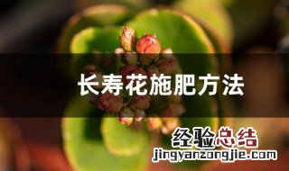 长寿花的施肥方法 长寿花的施肥注意事项