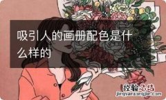 吸引人的画册配色是什么样的