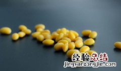 黄豆酱和豆瓣酱有什么区别别 黄豆酱和豆瓣酱有什么区别