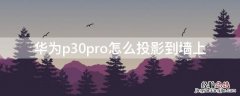 华为p30pro怎么投影到墙上