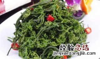 云龙菜是什么菜图片 云龙菜是什么菜