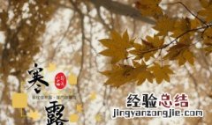 二十四节气寒露 二十四节气寒露介绍