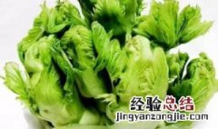 芥菜的管理方法 芥菜如何管理