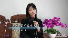 留不住爱留不住情是什么歌