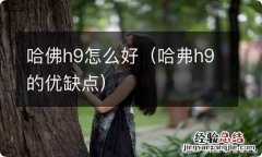 哈弗h9的优缺点 哈佛h9怎么好