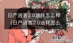 日产逍客2.0油耗怎么样多少钱 日产逍客2.0油耗怎么样