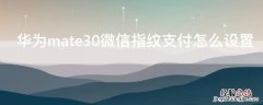 华为mate30微信指纹支付怎么设置