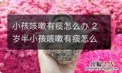 小孩咳嗽有痰怎么办 2岁半小孩咳嗽有痰怎么办