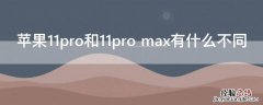 iPhone11pro和11pro max有什么不同