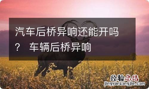 汽车后桥异响还能开吗？ 车辆后桥异响