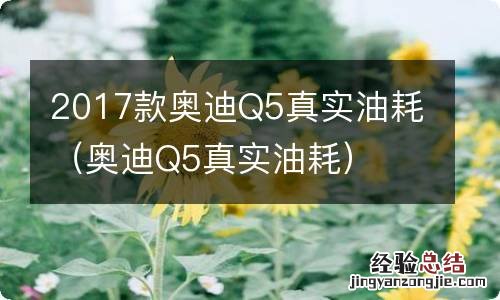 奥迪Q5真实油耗 2017款奥迪Q5真实油耗