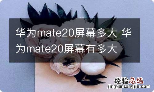 华为mate20屏幕多大 华为mate20屏幕有多大
