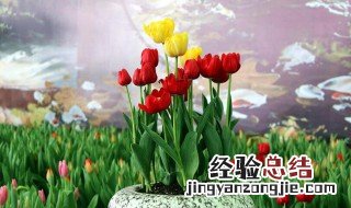 花放在水里怎么活得久一点? 花放在水里如何养活得久一点