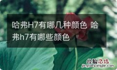 哈弗H7有哪几种颜色 哈弗h7有哪些颜色