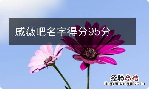 戚薇吧名字得分95分