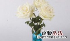 玫瑰花插花瓶怎么养的长久? 玫瑰花插花瓶如何养的长久