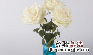 玫瑰花插花瓶怎么养的长久? 玫瑰花插花瓶如何养的长久