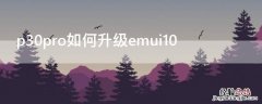 p30pro如何升级emui10