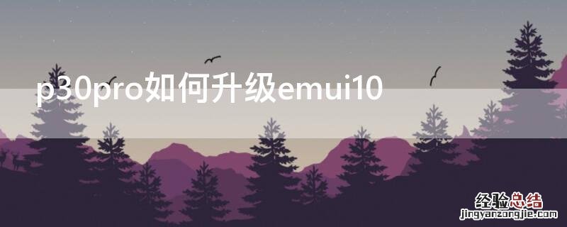 p30pro如何升级emui10