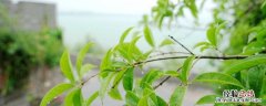 梅雨季如何防霉除湿