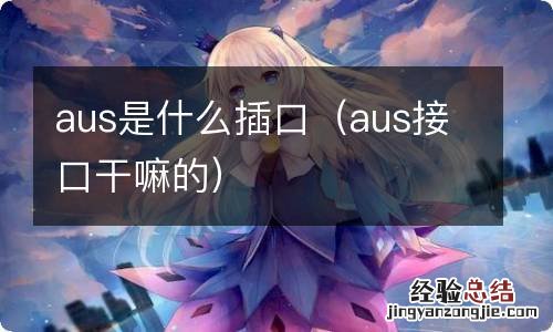 aus接口干嘛的 aus是什么插口