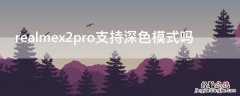 realmex2pro哪个颜色好看 realmex2pro支持深色模式吗